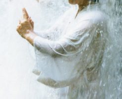 力のある霊能者・祈祷師~宿り人(ヤドリビト)
